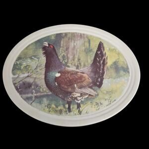 Rorstrand Sweden Jackie Lynd Tjader Capercaillie Bird Wall Plaque 8.5”
